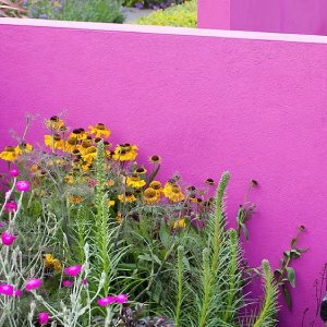 brise vue couleur